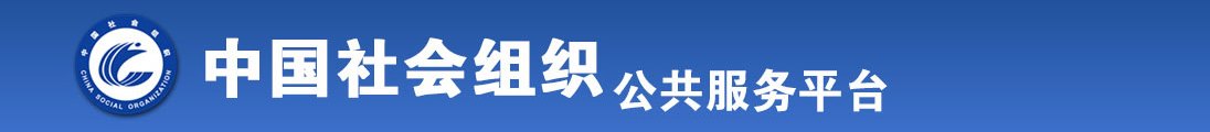 啊,操大鸡吧视频全国社会组织信息查询